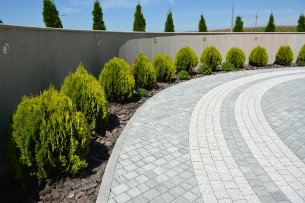 Best Driveway Pavers Near Me  in Raven, VA